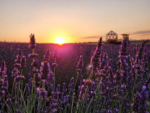 Natural landscape, Sunrise, Sunset