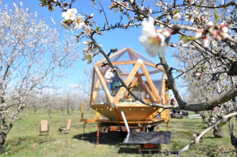 Day, Natural landscape, Garden, Garden view