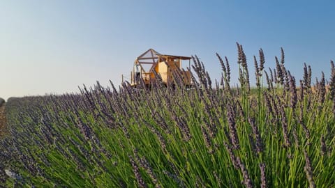 Day, Natural landscape