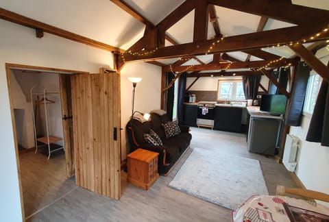 Kitchen or kitchenette, Living room, Seating area