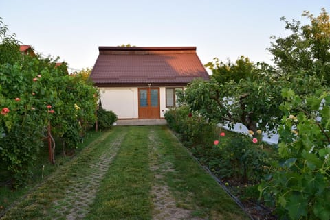 Property building, Spring, Day, Garden, Garden, Garden view