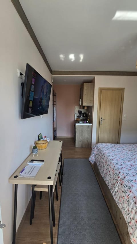 Maria guesthouse Apartment in North Athens Regional Unit, Greece