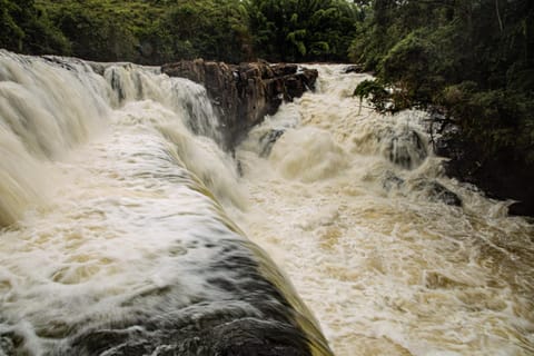 Natural landscape, River view