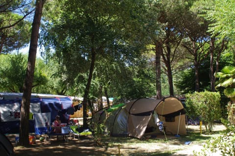 Camping Valdor Camper & Pitch Campground/ 
RV Resort in Cavallino-Treporti