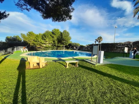 Garden, Swimming pool, sunbed