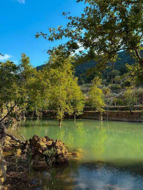 Natural landscape, River view