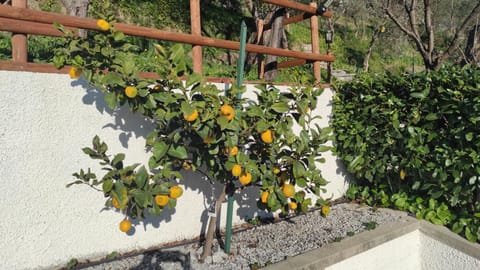 Villino Isabella House in Liguria