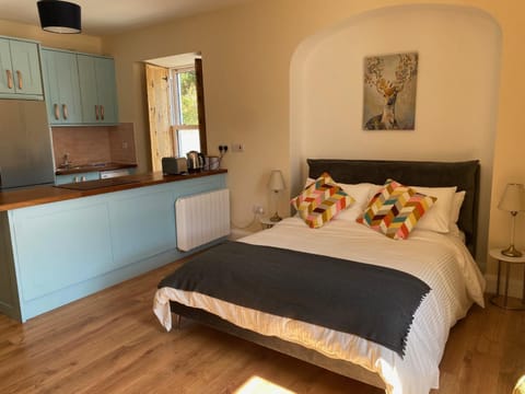 Kylemore House Boutique Apartments - Nancy's Drift Apartment in County Mayo