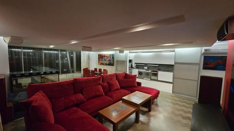 Kitchen or kitchenette, Living room, Seating area, Dining area