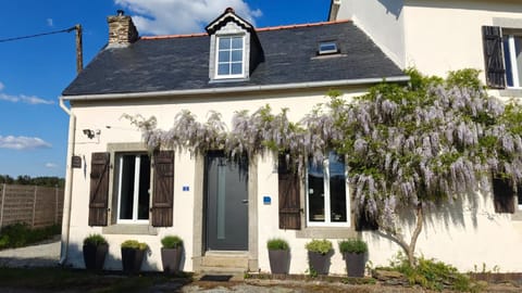 Property building, Spring, Day
