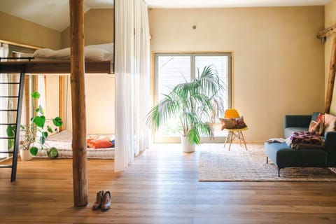 Bed, Living room, Photo of the whole room, Seating area, Bedroom