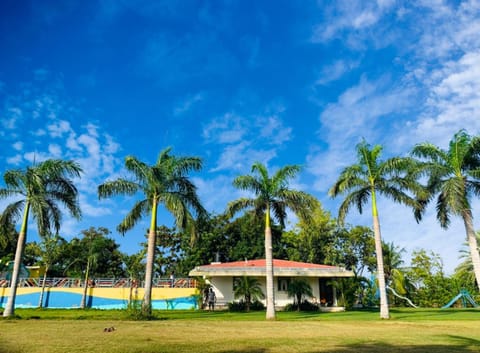Garden, Pool view