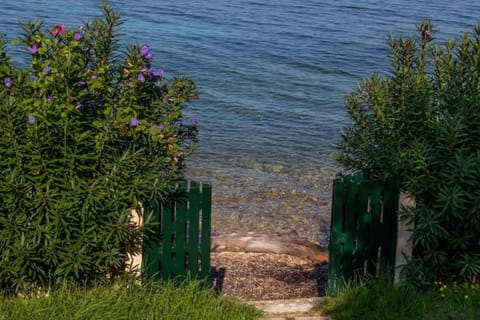 Natural landscape, Beach