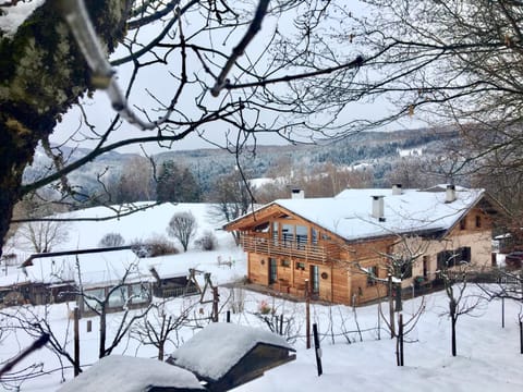 Natural landscape, Winter