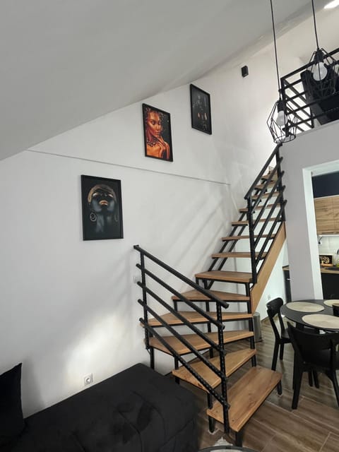 Central Duplex Apartment Apartment in Serbia