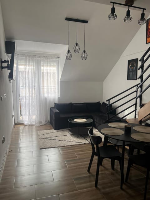 Central Duplex Apartment Apartment in Serbia