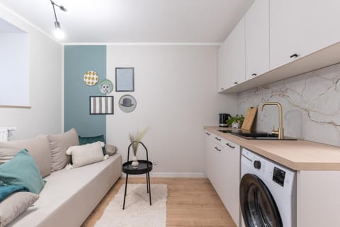 Kitchen or kitchenette, Living room, Seating area, stove, washing machine