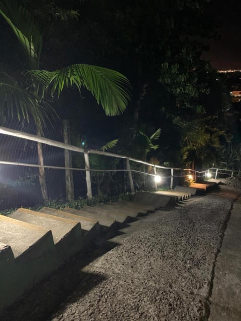 Night, Garden, Garden view