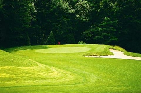 Waldblick 1 Apartment in Saarlouis