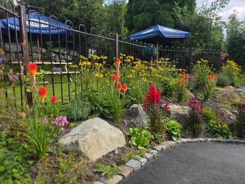 Y Gwydyr Hotel - Dolwyddelan Hotel in Bro Machno