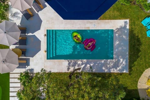 Stunning 8 bedroom Villa with Pool Basketball Pickleball BBQ Mini-golf and more Villa in Golden Glades