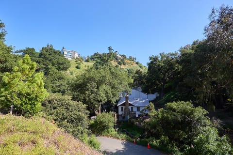 Garden, Garden view, Mountain view