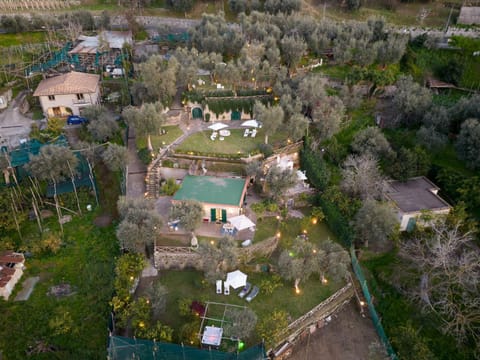 Bird's eye view, Garden view