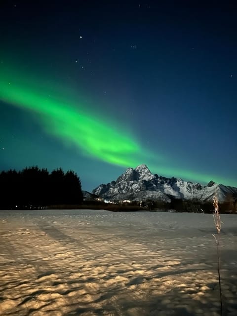 Tindgaard apartment Apartment in Lofoten
