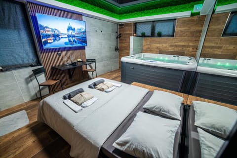 Bed, Hot Tub, TV and multimedia, Photo of the whole room, Bedroom, towels