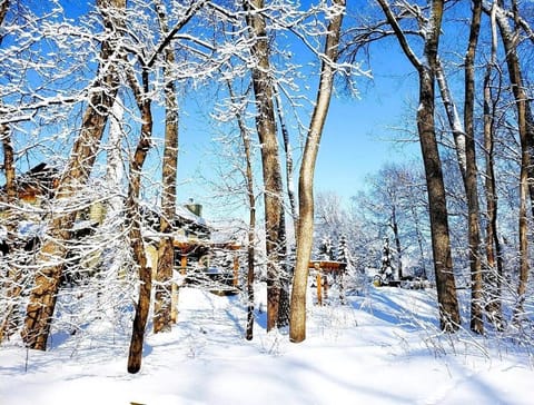 Everchanging Seasons-Hot Tub, Game Haven & Central Retreat House in Burnsville