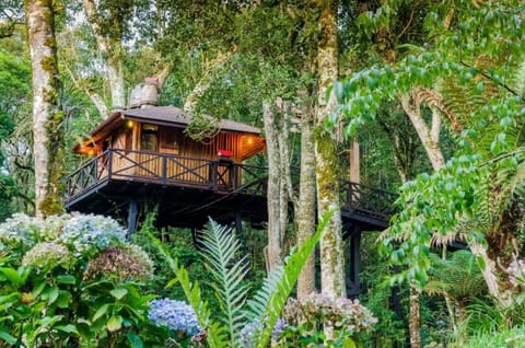 Property building, Natural landscape, Balcony/Terrace, Garden view
