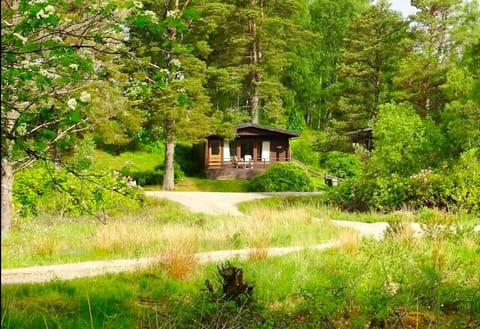 Property building, Spring, Day, Natural landscape, Garden, Garden view