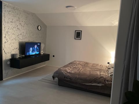 Fenix Apartman III Apartment in Serbia