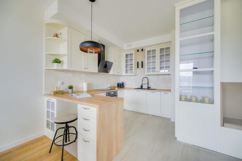 Kitchen or kitchenette, dishwasher, stove