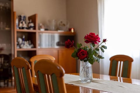 Smile Apartment in Šibenik-Knin County, Croatia