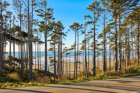 Natural landscape, Beach