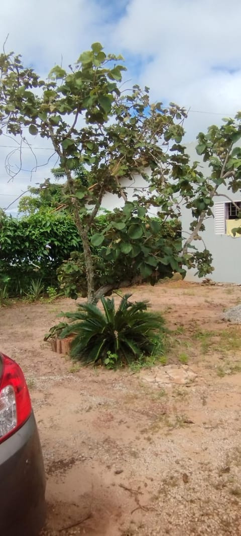 Natural landscape, Parking