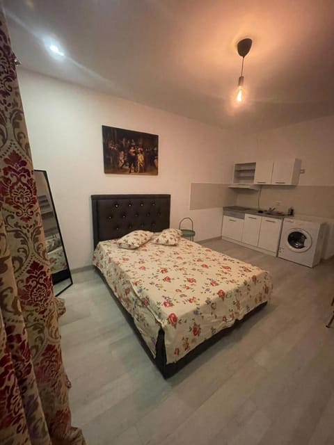 Bed, Kitchen or kitchenette, Photo of the whole room, Bedroom, washing machine