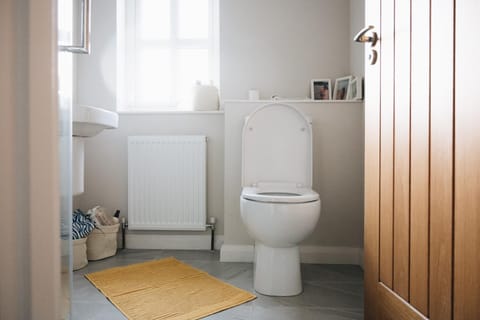 Stunning Shell Hill House in Coleraine