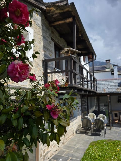 Day, Garden, Balcony/Terrace, Garden view
