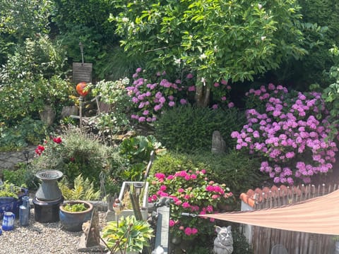 Property building, Garden