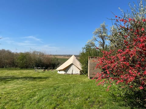 Natural landscape, Garden, Garden view