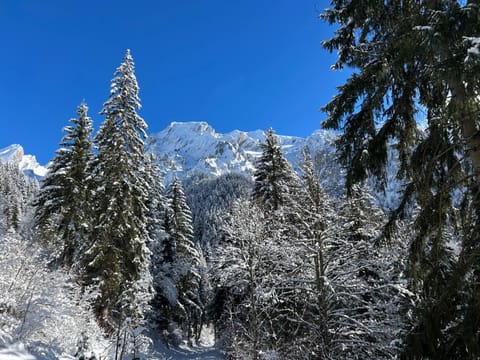 Nearby landmark, Natural landscape, Winter, Mountain view