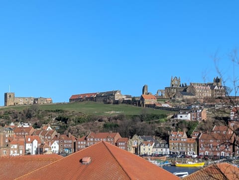Landmark view