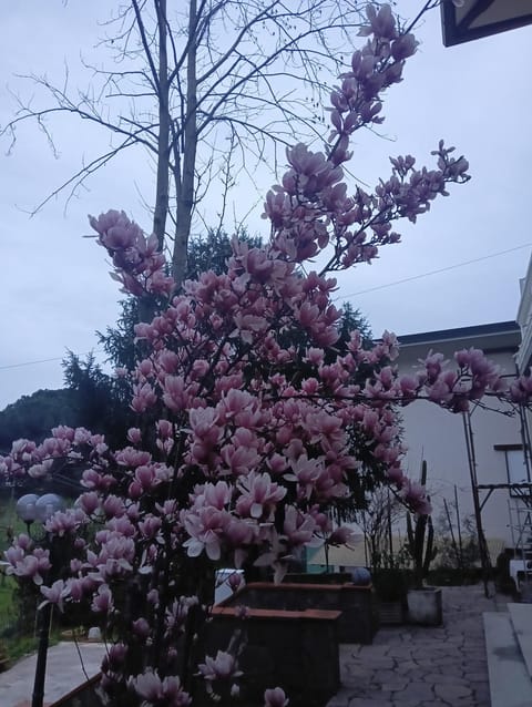 Villa BramaRosa House in Montecatini Terme