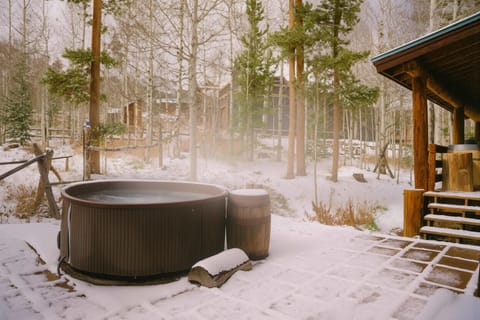 Silverthorne Cabin with Hot Tub and Forest Access Cabin in Wildernest