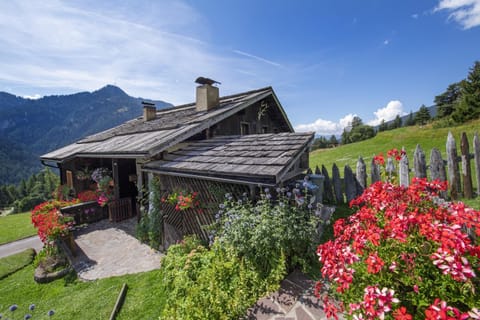 Property building, Facade/entrance, Off site