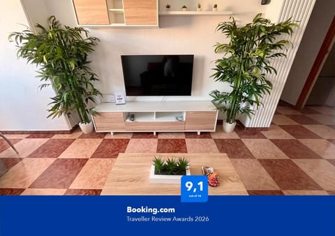 TV and multimedia