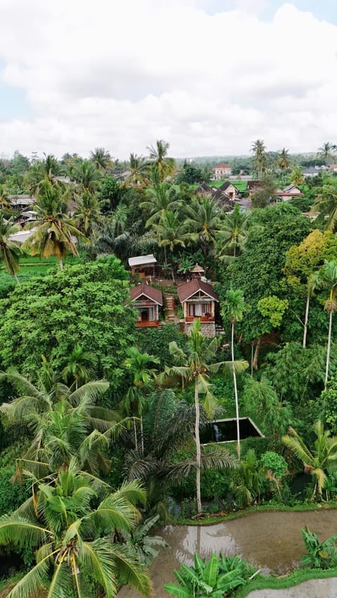 Property building, Natural landscape, Garden