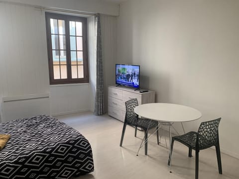 Grand Studio Historique 30m2 - hypercentre Apartment in Chambery